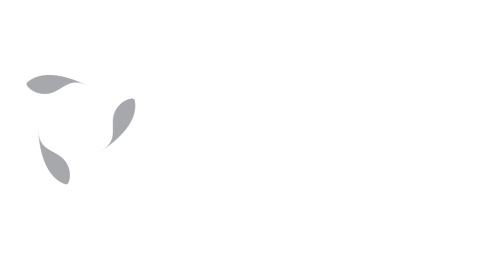Tawuniya